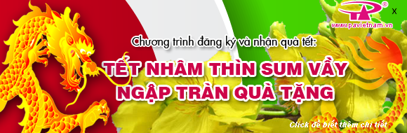 16622001323764472tet_mai.png