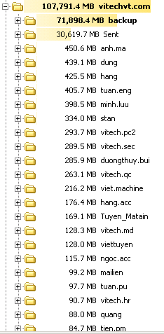 vitechvt.png