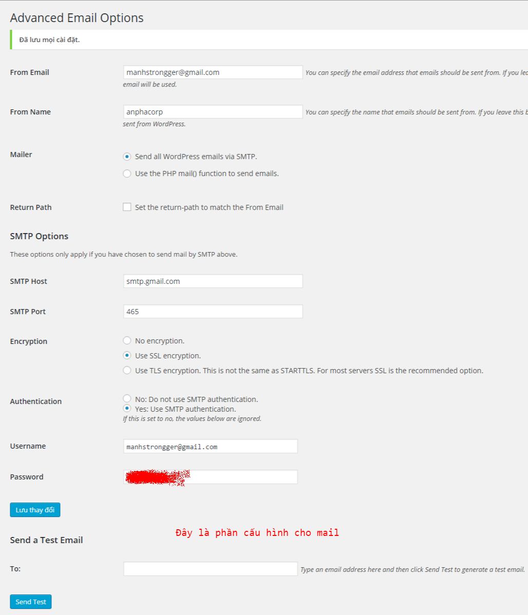 Advanced Email Options  Anpha Real B?t ??ng S?n  WordPress.png