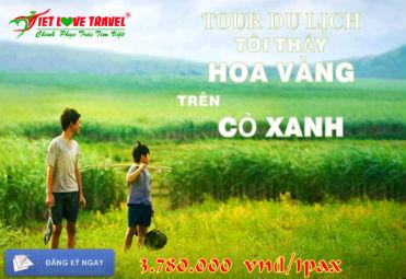 BANER_HOA_VANG_TREN_CO_XANH_1.jpg