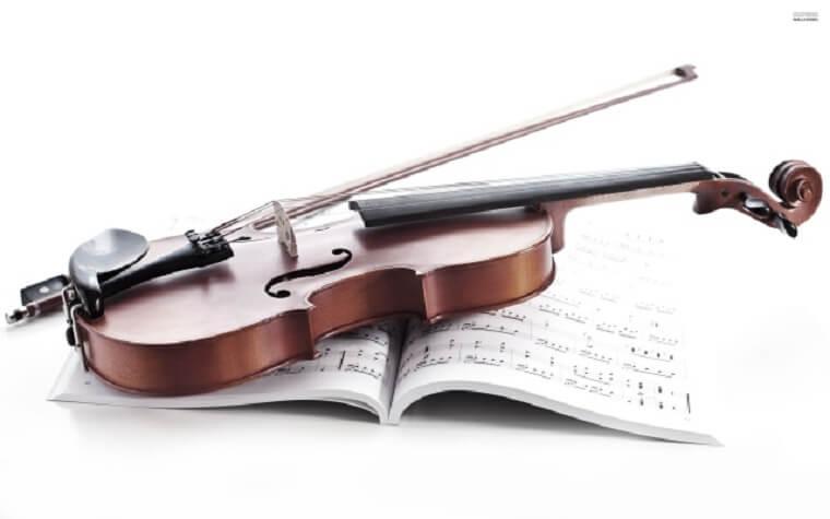 dat-violin13.jpg