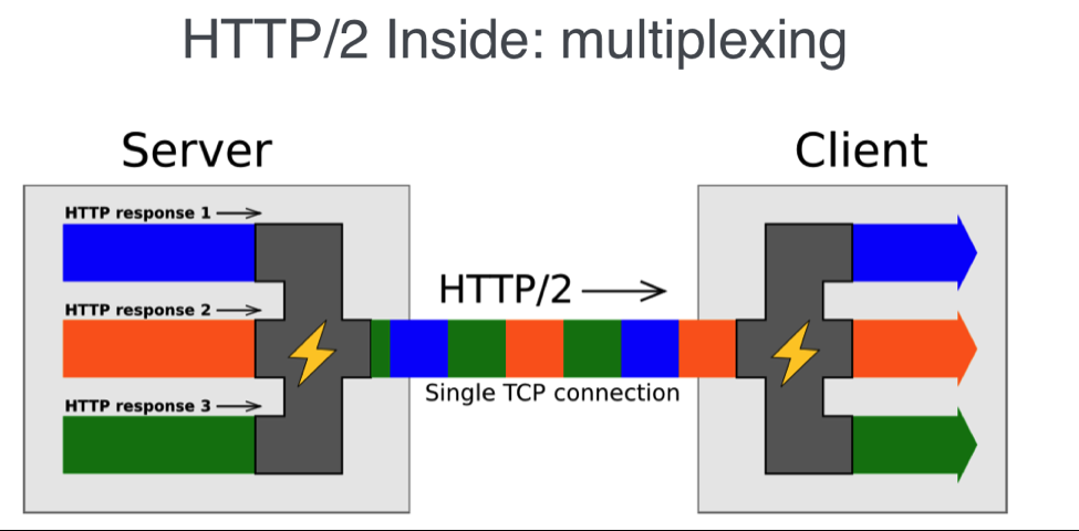 HTTP2-MultiplexingSingle-TCP-Connection.png