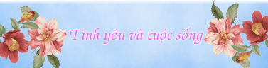 banner1.gif