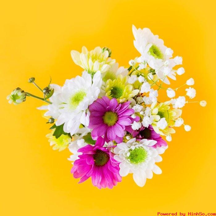 flowers_01.jpg