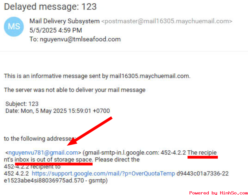 nguyenvu81_gmail.png