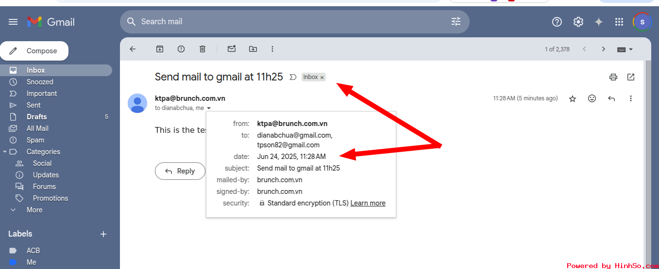 testmail_brunch.com.vn.png