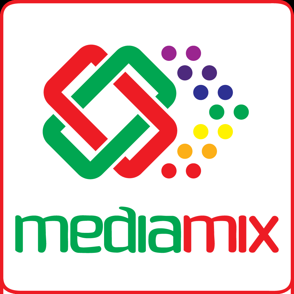 Media Mix 2011 - 1000px.png