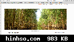 Free Image Hosting At https://www.hinhso.com