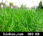 Free Image Hosting At https://www.hinhso.com