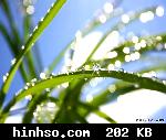 Free Image Hosting At https://www.hinhso.com
