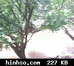 Free Image Hosting At https://www.hinhso.com