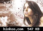 Free Image Hosting At https://www.hinhso.com