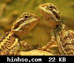 Free Image Hosting At https://www.hinhso.com