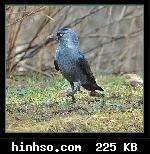 Free Image Hosting At https://www.hinhso.com
