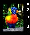 Free Image Hosting At https://www.hinhso.com