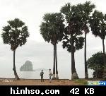 Free Image Hosting At https://www.hinhso.com