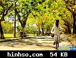 Free Image Hosting At https://www.hinhso.com