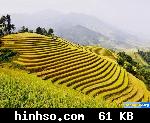 Free Image Hosting At https://www.hinhso.com