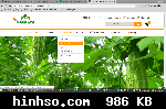 Free Image Hosting At https://www.hinhso.com