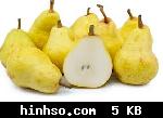 Free Image Hosting At https://www.hinhso.com