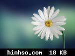 Free Image Hosting At https://www.hinhso.com