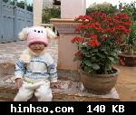 Free Image Hosting At https://www.hinhso.com